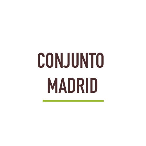 Conjunto Madrid